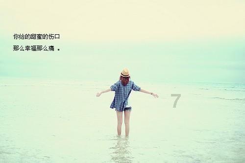 守卫木鱼